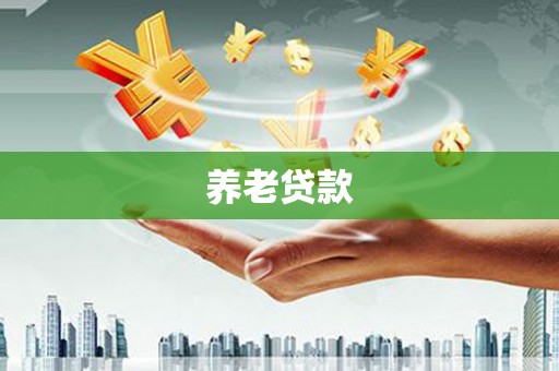 新店养老贷款