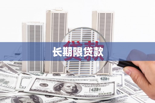 新店长期限贷款