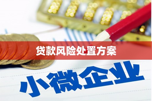 新店贷款风险处置方案