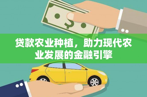 新店贷款农业种植，助力现代农业发展的金融引擎