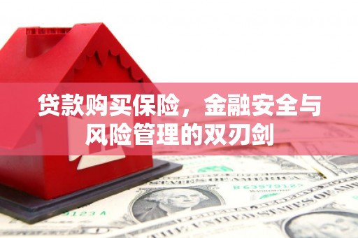 新店贷款购买保险，金融安全与风险管理的双刃剑