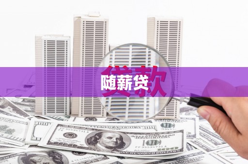 新店随薪贷