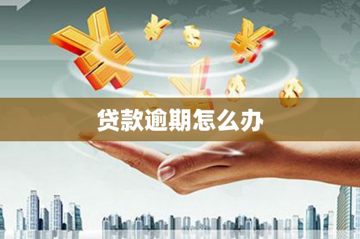 新店贷款逾期怎么办
