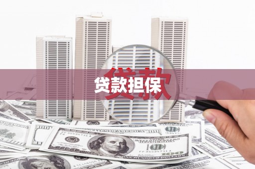 新店贷款担保
