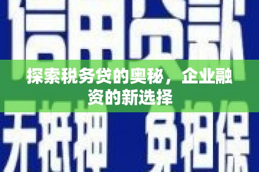 新店探索税务贷的奥秘，企业融资的新选择