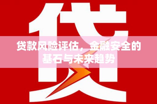 新店贷款风险评估，金融安全的基石与未来趋势