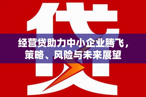 新店经营贷助力中小企业腾飞，策略、风险与未来展望