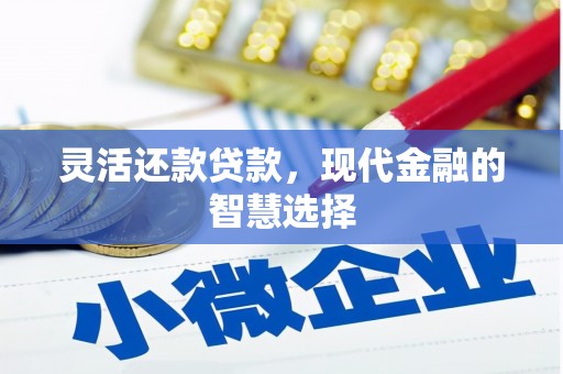 新店灵活还款贷款，现代金融的智慧选择