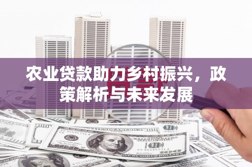 新店农业贷款助力乡村振兴，政策解析与未来发展