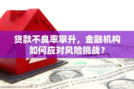 新店贷款不良率攀升，金融机构如何应对风险挑战？