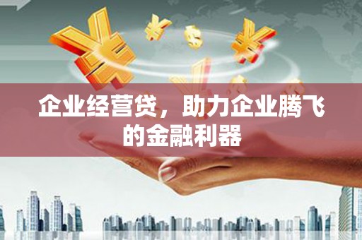 新店企业经营贷，助力企业腾飞的金融利器