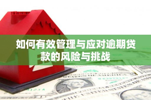 新店如何有效管理与应对逾期贷款的风险与挑战