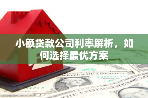 新店小额贷款公司利率解析，如何选择最优方案