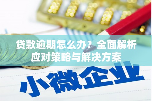 新店贷款逾期怎么办？全面解析应对策略与解决方案