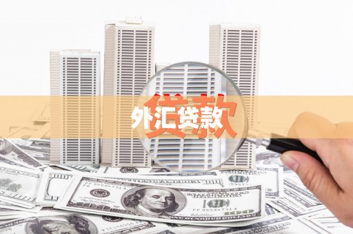 新店外汇贷款