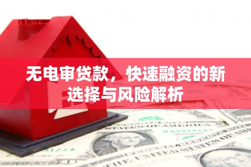 新店无电审贷款，快速融资的新选择与风险解析