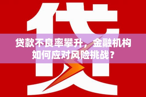 新店贷款不良率攀升，金融机构如何应对风险挑战？