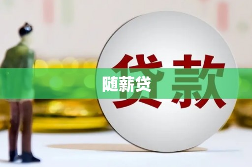 新店随薪贷