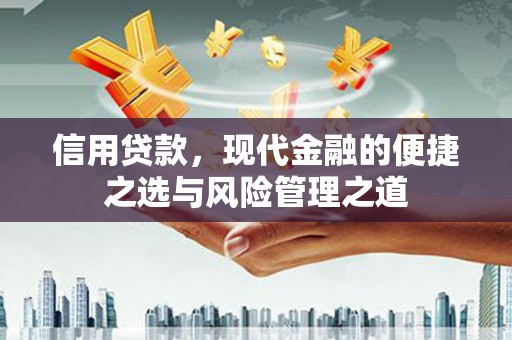 新店信用贷款，现代金融的便捷之选与风险管理之道