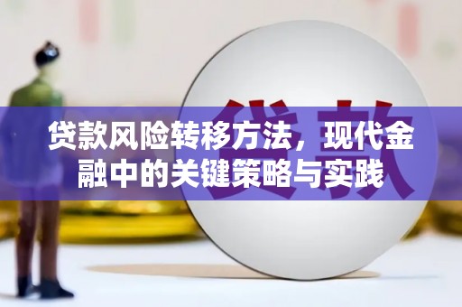 新店贷款风险转移方法，现代金融中的关键策略与实践
