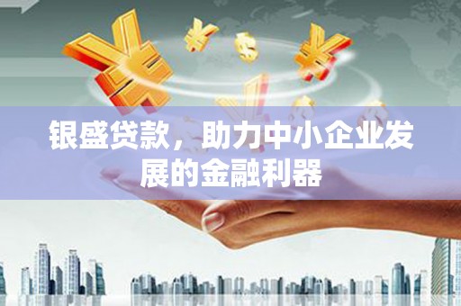 新店银盛贷款，助力中小企业发展的金融利器