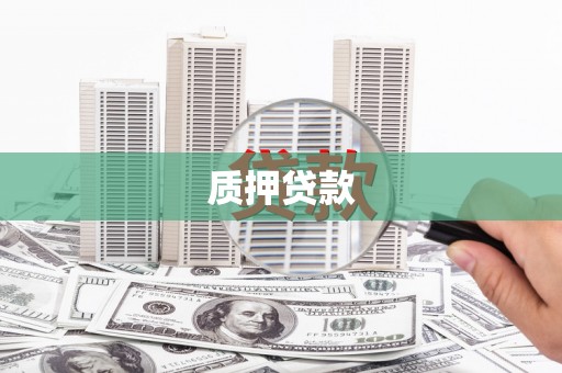新店质押贷款