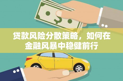 新店贷款风险分散策略，如何在金融风暴中稳健前行