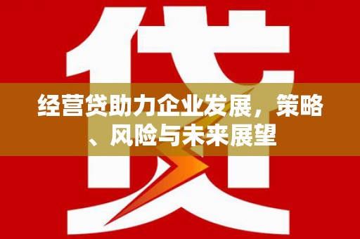 新店经营贷助力企业发展，策略、风险与未来展望
