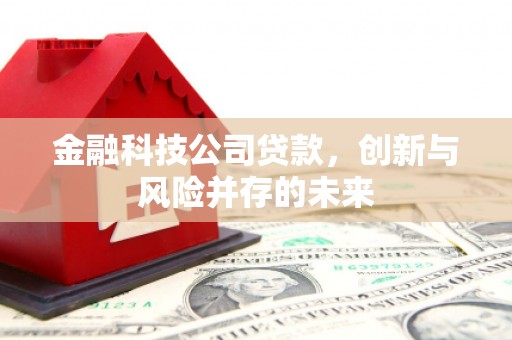新店金融科技公司贷款，创新与风险并存的未来