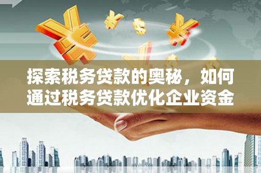 新店探索税务贷款的奥秘，如何通过税务贷款优化企业资金流