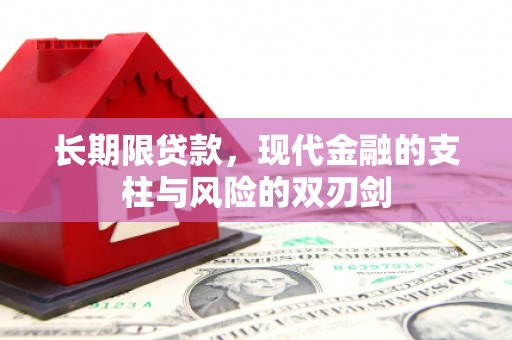 新店长期限贷款，现代金融的支柱与风险的双刃剑