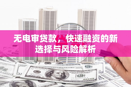 新店无电审贷款，快速融资的新选择与风险解析