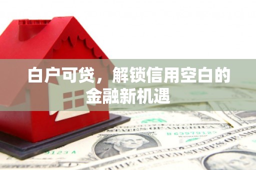 新店白户可贷，解锁信用空白的金融新机遇