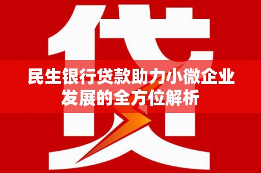 新店民生银行贷款助力小微企业发展的全方位解析