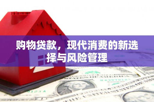 新店购物贷款，现代消费的新选择与风险管理