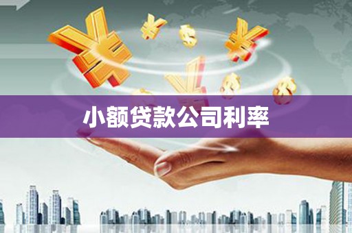 新店小额贷款公司利率