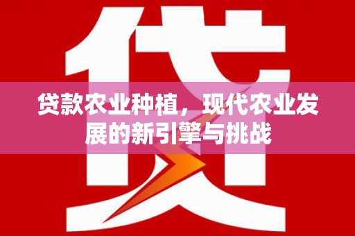 新店贷款农业种植，现代农业发展的新引擎与挑战