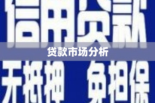 新店贷款市场分析