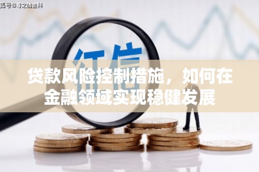 新店贷款风险控制措施，如何在金融领域实现稳健发展