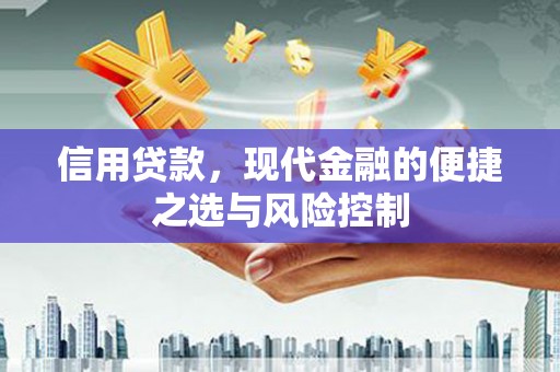 新店信用贷款，现代金融的便捷之选与风险控制
