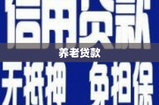 新店养老贷款