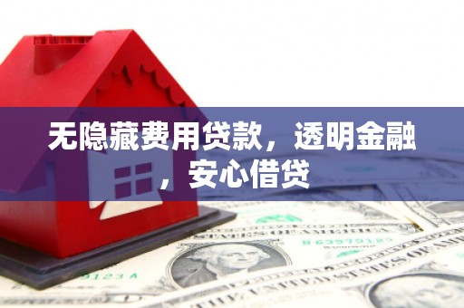 新店无隐藏费用贷款，透明金融，安心借贷