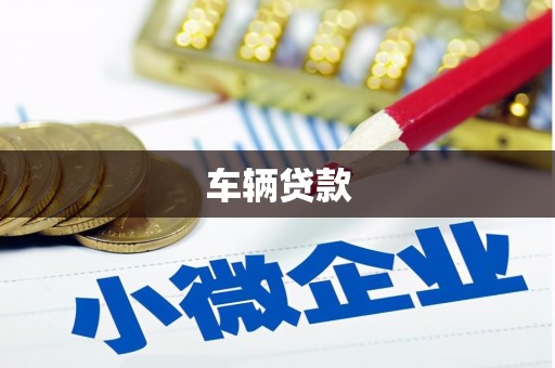 新店车辆贷款