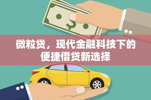 新店微粒贷，现代金融科技下的便捷借贷新选择