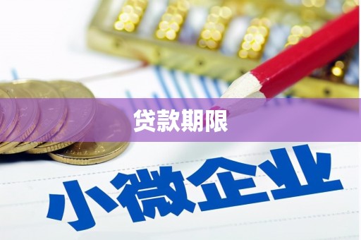 新店贷款期限