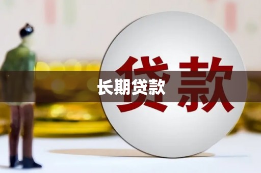 新店长期贷款