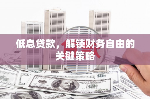 新店低息贷款，解锁财务自由的关键策略