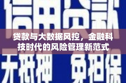 新店贷款与大数据风控，金融科技时代的风险管理新范式