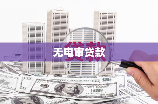 新店无电审贷款
