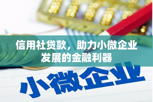 新店信用社贷款，助力小微企业发展的金融利器